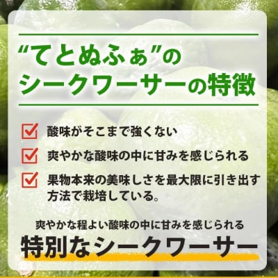 こだわりの青切りシークワーサー 2kg 約60～80個