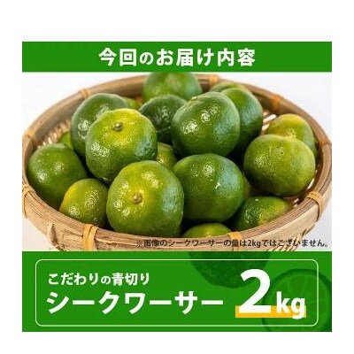 【先行予約】≪2026年8月以降順次発送≫こだわりの青切りシークワーサー 2kg 約60～80個