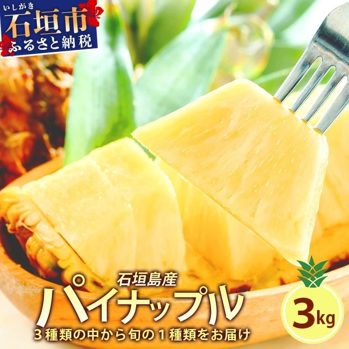 【先行受付】石垣島産パイナップル　2～6個　約3kg 《2025年5月から順次発送いたします》
