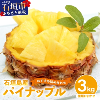 【2027年5月から順次発送】石垣島産パイナップル 2～6個 約3kg