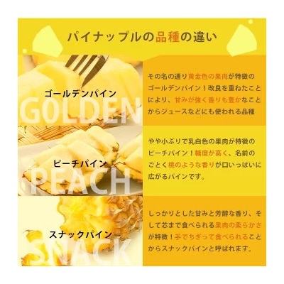 【2026年4月下旬から順次発送】石垣島産パイナップル 2～6個 約3kg