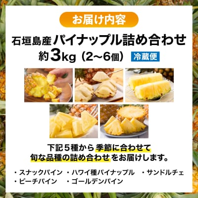【2026年4月下旬から順次発送】石垣島産パイナップル 2～6個 約3kg