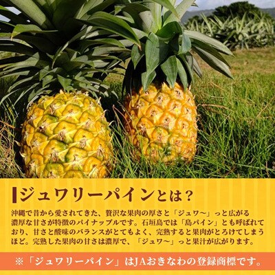 《2026年6月～8月順次発送》【先行受付】希少!濃厚!「枝元完熟・てのひらジュワリーパイン」