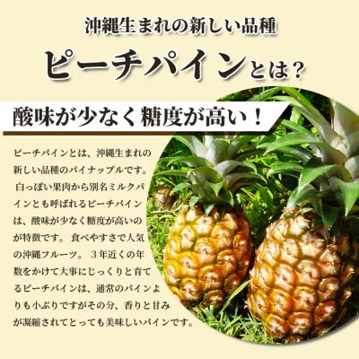 《2026年4月～7月順次発送》枝先完熟 てのひらピーチパイン1kg(SSサイズ2個) 希少!濃厚!