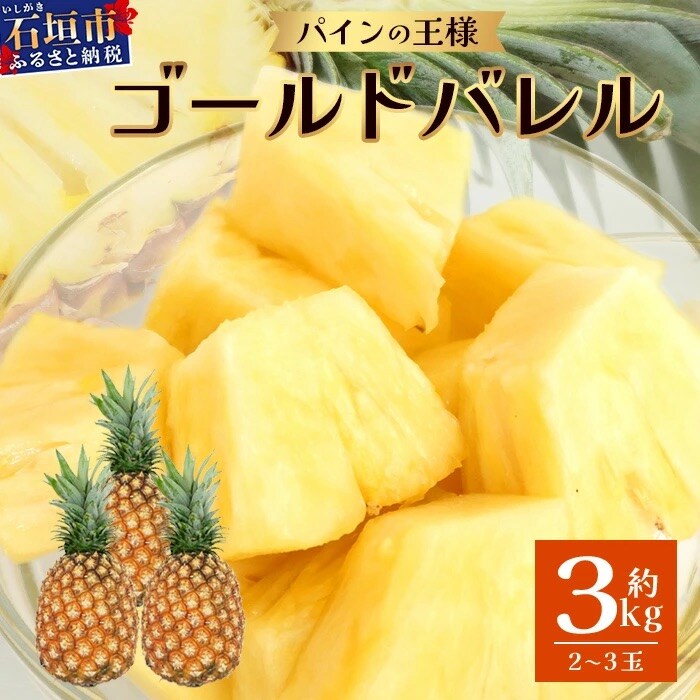 【先行受付】《2026年6月上旬より順次発送予定》最高級パイン ゴールドバレル2~3玉セットTD-1