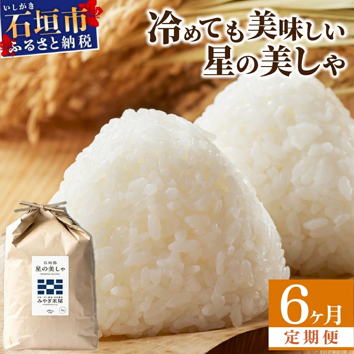 【定期便6回】6ヶ月連続お届け 石垣島産 星の美しゃ(ほしのかいしゃ)30kg(5kg×6回)