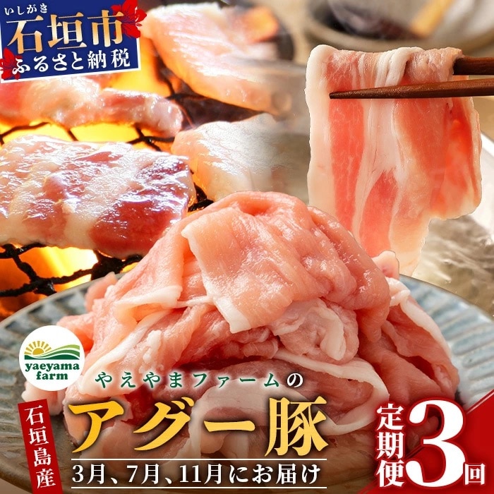 【3回定期便】石垣島産 やえやまファームのアグー豚の 3回定期便(3月、7月、11月お届け)
