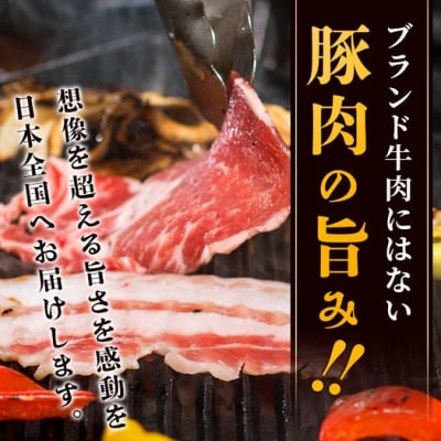 【3回定期便】石垣島産 やえやまファームのアグー豚の 3回定期便(3月、7月、11月お届け)