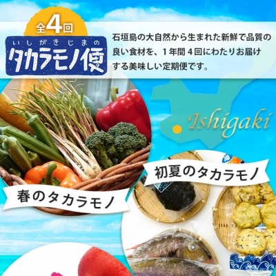 【4回/年定期配送 石垣島のタカラモノ便】 春夏秋冬のお楽しみ