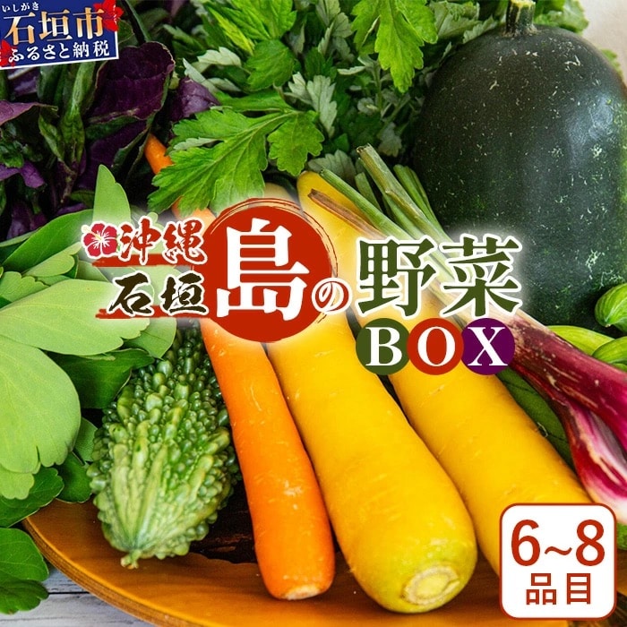 沖縄県石垣島産新鮮やさいBOX 【 島の野菜 詰め合わせセット】1箱(定番・旬のお野菜6~8種類)