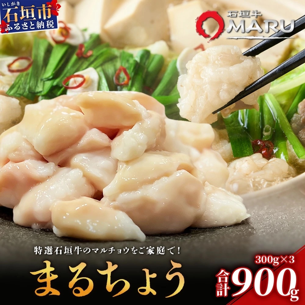 希少な特選石垣牛のホルモンをご家庭で!!マルチョウ300g×3パック