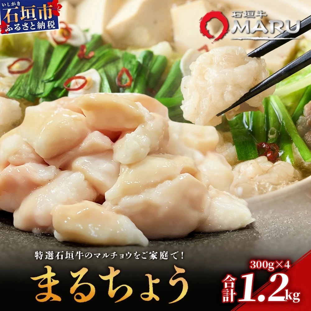 希少な特選石垣牛のホルモンをご家庭で!!マルチョウ300g×4パック