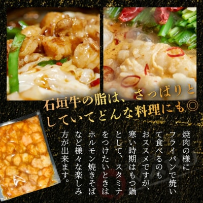 希少な特選石垣牛のホルモンをご家庭で!!秘伝の味噌味マルチョウ300g×2パック
