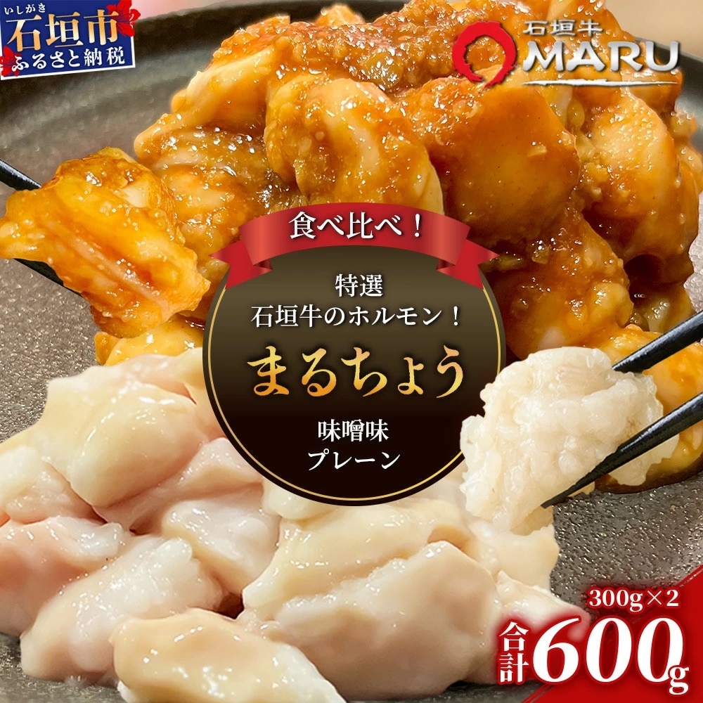 希少な特選石垣牛のホルモンをご家庭で!!マルチョウ300g×2パック 食べ比べセット