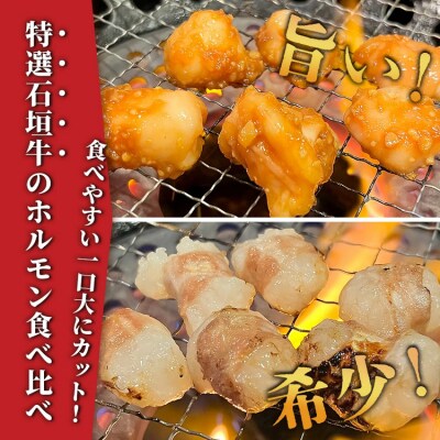 希少な特選石垣牛のホルモンをご家庭で!!マルチョウ300g×2パック 食べ比べセット