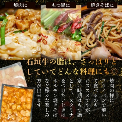 希少な特選石垣牛のホルモンをご家庭で!!マルチョウ300g×4パック 食べ比べセット