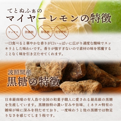 【先行受付】<2025年10月～12月順次発送> 黒糖レモン生シロップ120ml×2本