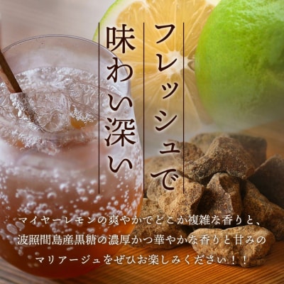 【先行受付】<2025年10月～12月順次発送> 果肉入り黒糖レモン生シロップ120ml×2本