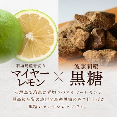 【先行受付】<2026年10月～12月順次発送> 果肉入り黒糖レモン生シロップ200ml×2本