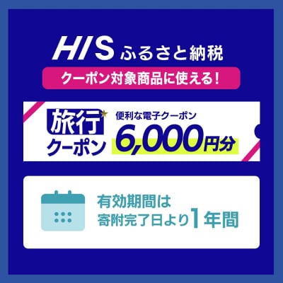 HISの沖縄県石垣市の対象商品に使えるふるさと納税クーポン券6,000円分