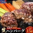 石垣牛100% ハンバーグ　(100g×15個)