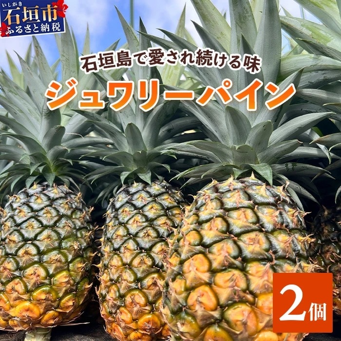 《2026年5月下旬～7月中旬発送》最高糖度18度!? 完熟の極 石垣島産ジュワリーパイン