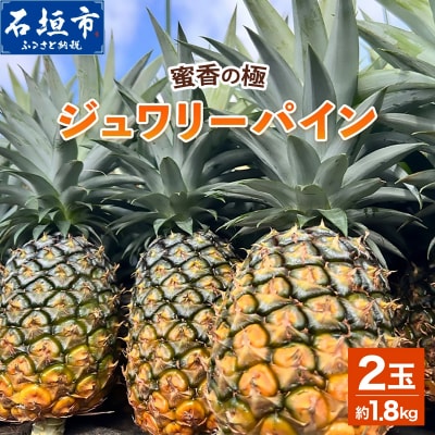 《2027年6月以降順次発送》蜜香の極 ジュワリーパイン 2玉 約1.8kg