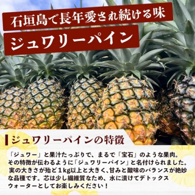 《2026年5月下旬～7月中旬発送》最高糖度18度!? 完熟の極 石垣島産ジュワリーパイン
