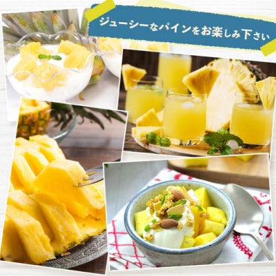 《2026年5月下旬～7月中旬発送》最高糖度18度!? 完熟の極 石垣島産ジュワリーパイン
