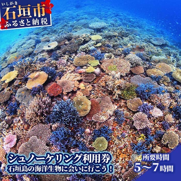 シュノーケリング利用券　石垣島のマンタ・サンゴ・ウミガメに会いに行こう YD-3-1