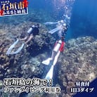 MP-2 石垣島の海でファンダイビング利用券1日3ダイブ