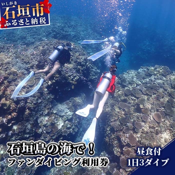 MP-2 石垣島の海でファンダイビング利用券1日3ダイブ