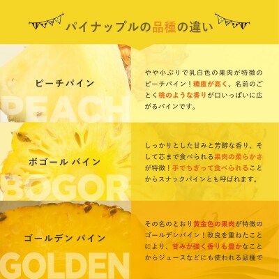 先行予約<2026年6月より順次発送>贅沢3種フローズンパイナップル 6パック EF-6