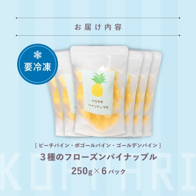 先行予約<2026年6月より順次発送>贅沢3種フローズンパイナップル 6パック EF-6