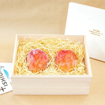 石垣の恵 眠れるマンゴー(450g～500g)2玉 専用箱入