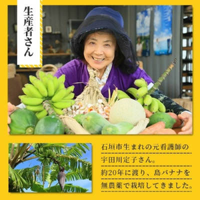 希少!特許製法で作るシリカ水で栽培する特別な「島バナナ」