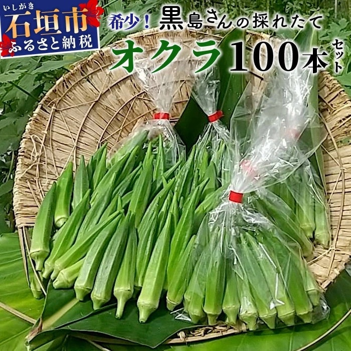 希少!黒島さんの採れたてオクラ100本セット 10月下旬以降順次発送