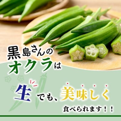 希少!黒島さんの採れたてオクラ100本セット 10月下旬以降順次発送