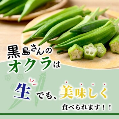 希少!黒島さんの採れたてオクラ100本セット 10月下旬以降順次発送