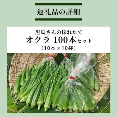 希少!黒島さんの採れたてオクラ100本セット 10月下旬以降順次発送