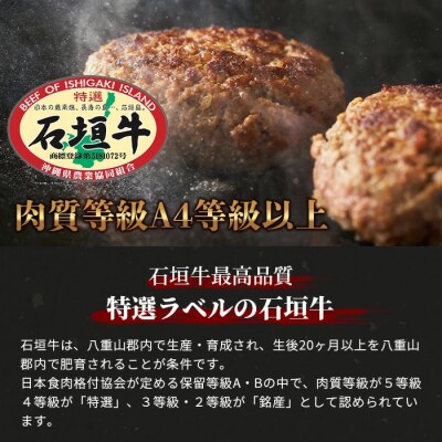 石垣牛ハンバーグ120g×10個【沖縄県 石垣市 黒毛和牛 100% 石垣牛】