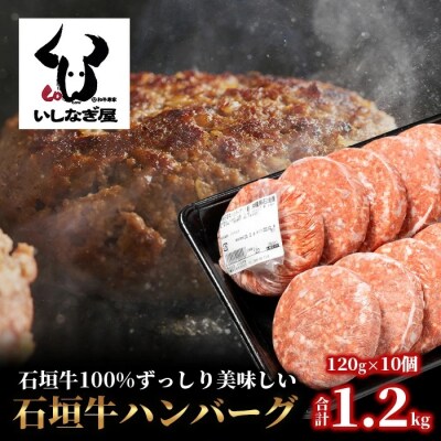 石垣牛ハンバーグ120g×10個【沖縄県 石垣市 黒毛和牛 100% 石垣牛】