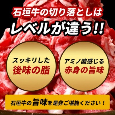 石垣牛・赤身系切り落とし どっさり山盛り1kg入り