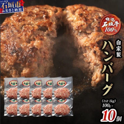 石垣牛 ハンバーグ ≪100g10個≫(八重山パーツミート)