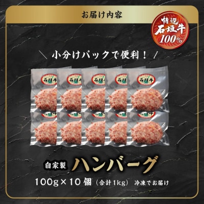石垣牛 ハンバーグ ≪100g10個≫(八重山パーツミート)