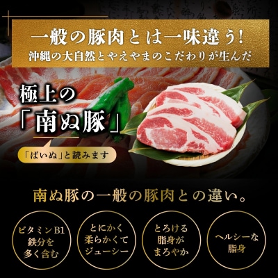 石垣島産 やえやまファームのアグ―豚(南ぬ豚)ハンバーグ10個セット