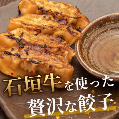 ≪餃子≫ 石垣牛 ぎょうざ 10個