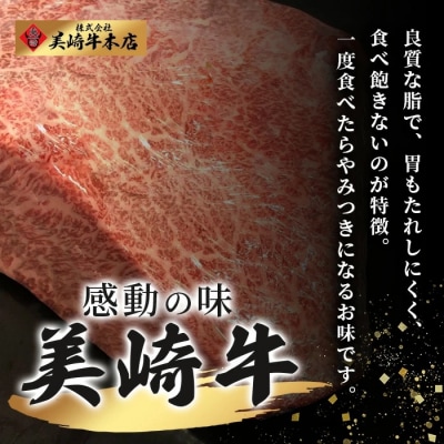 美崎牛ハンバーグ200g×6個