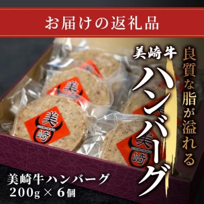 美崎牛ハンバーグ200g×6個