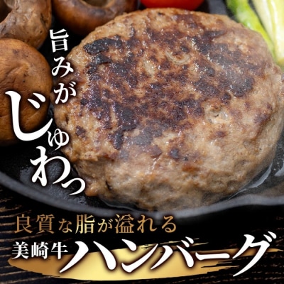 美崎牛ハンバーグ 100g×10個